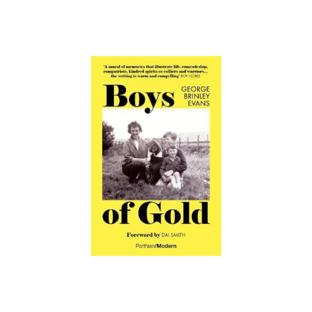 Parthian Books Boys of Gold (häftad, eng)