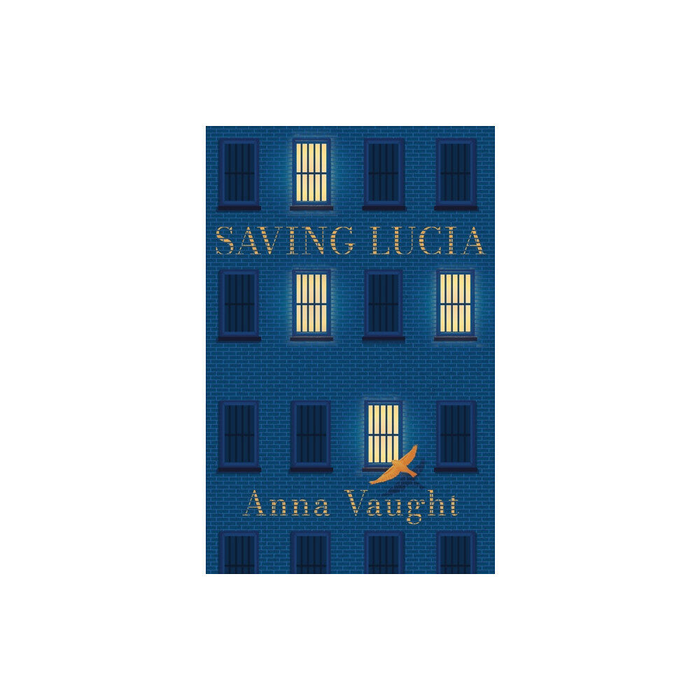 Bluemoose Books Ltd SAVING LUCIA (häftad, eng)