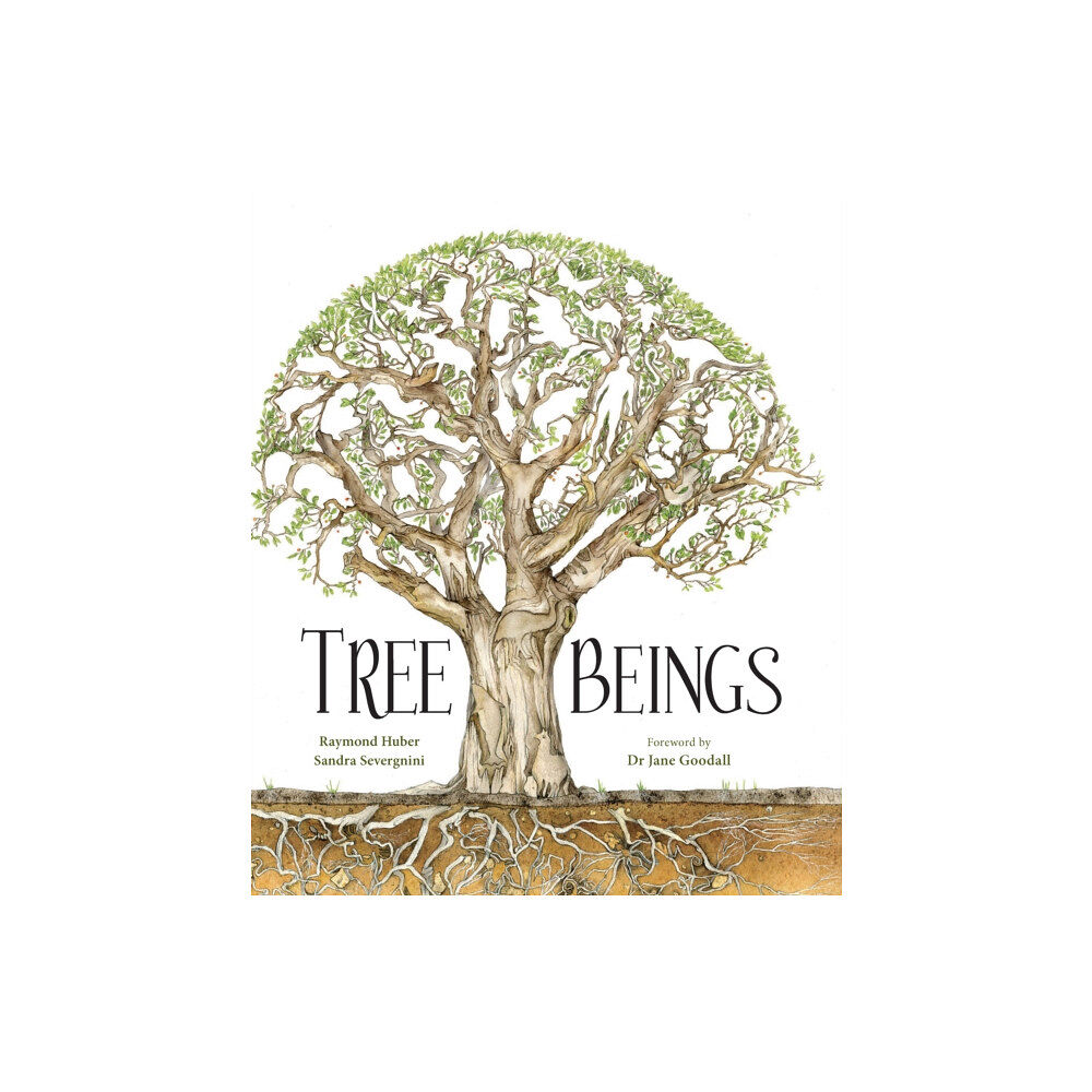 Exisle Publishing Tree Beings (inbunden, eng)