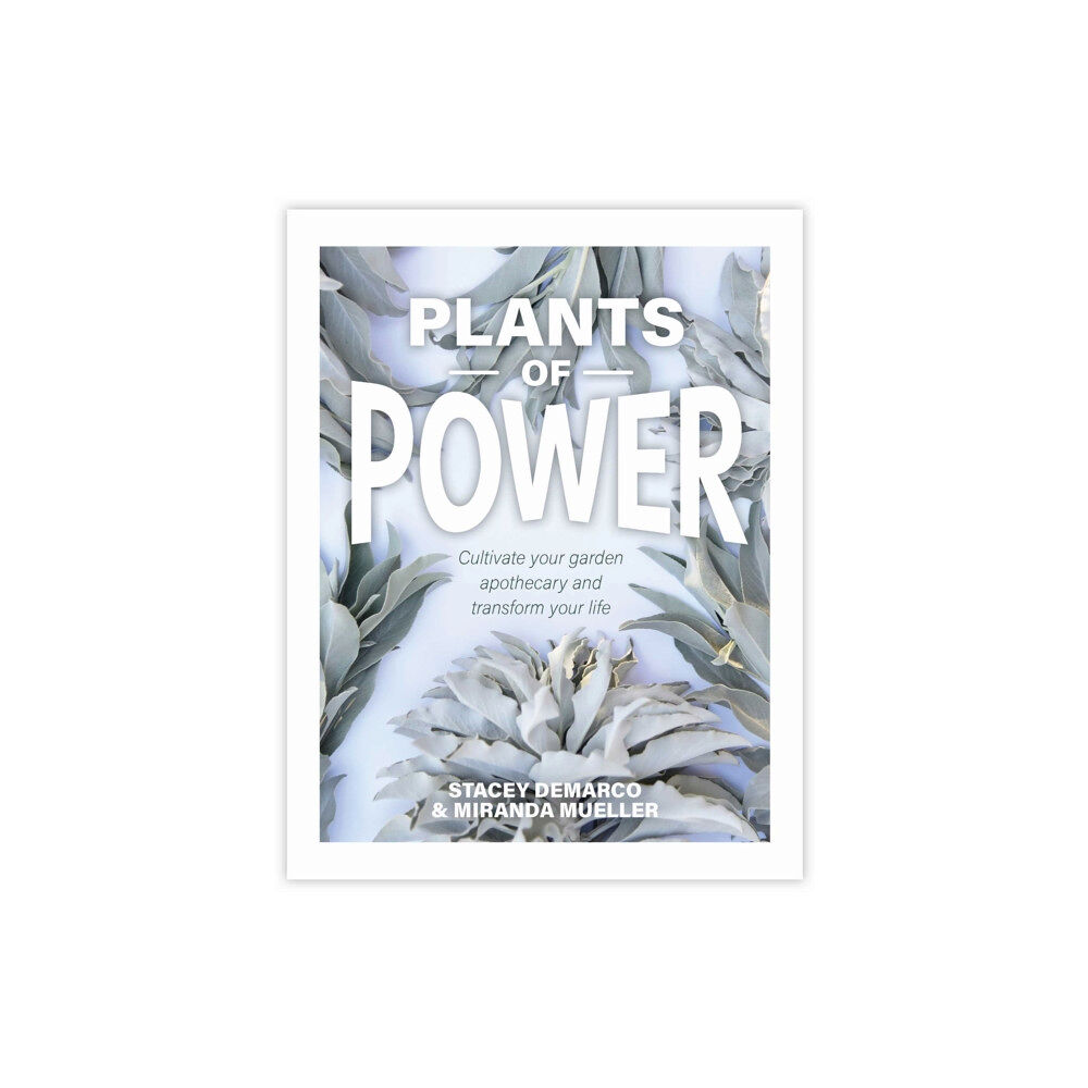 Rockpool Publishing Plants of Power (inbunden, eng)