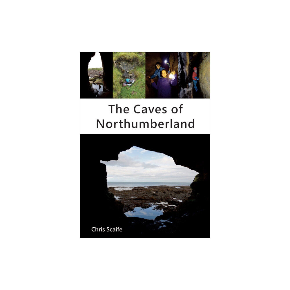 Stobart Davies Ltd The Caves of Northumberland (häftad, eng)