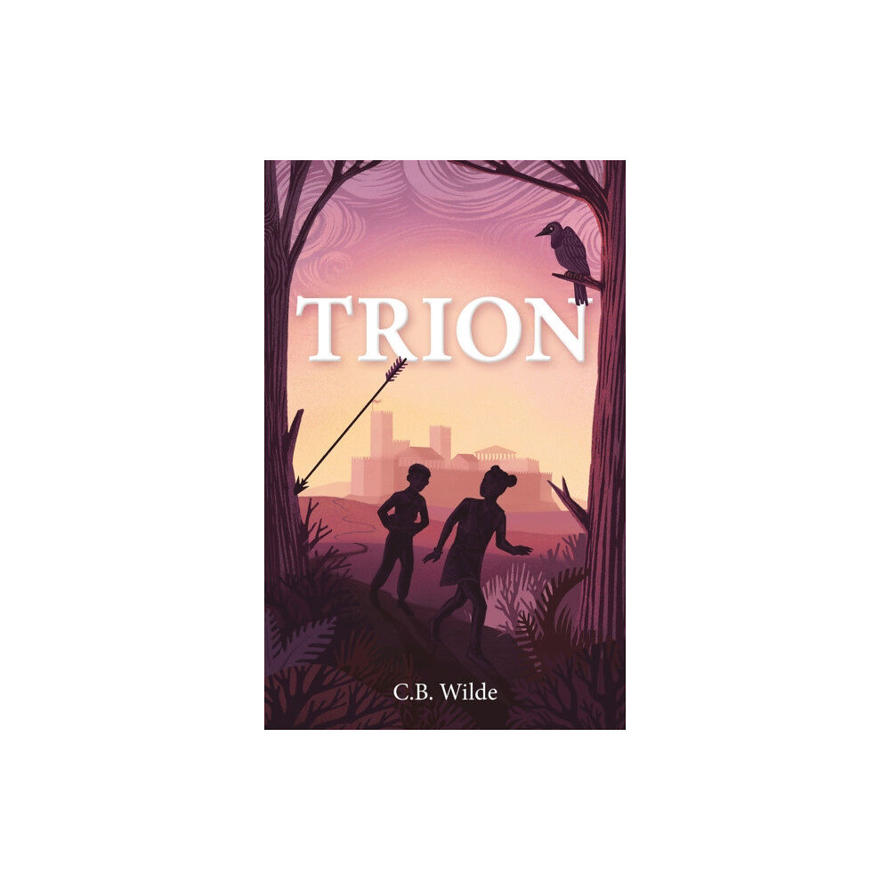 The Book Guild Ltd Trion (häftad, eng)