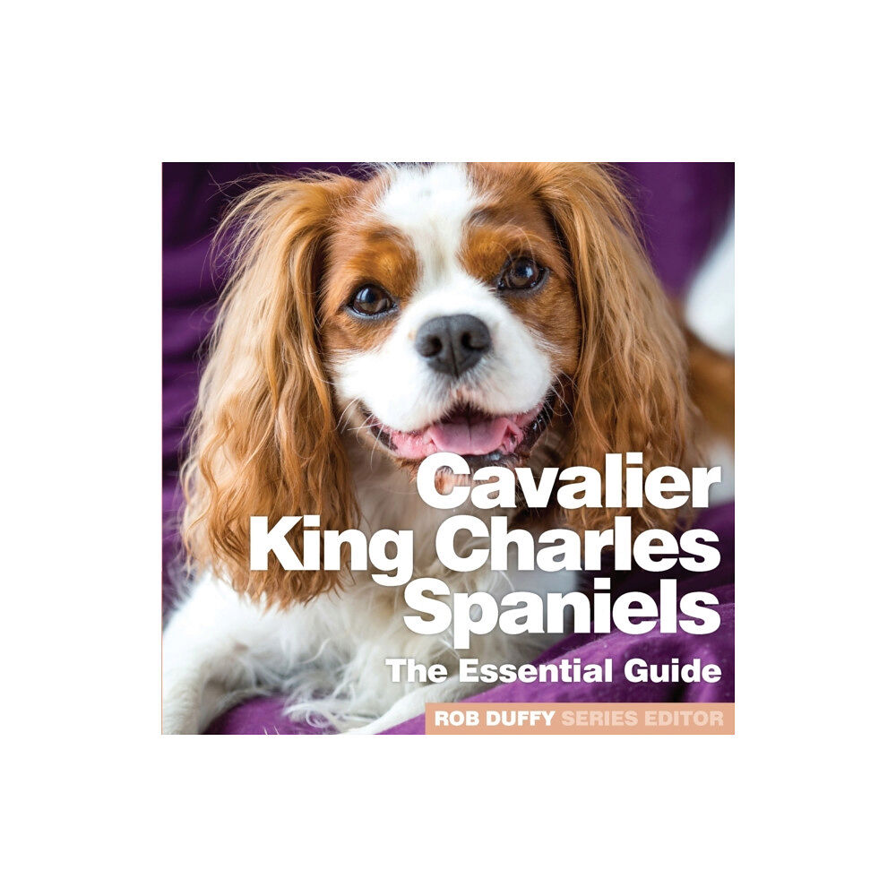 BX Plans Ltd Cavalier King Charles Spaniels (häftad, eng)