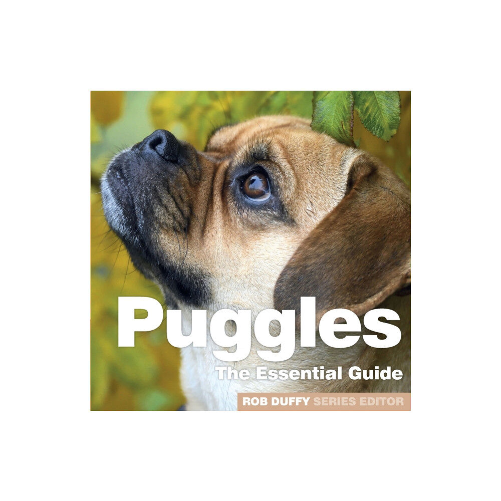 BX Plans Ltd Puggles (häftad, eng)