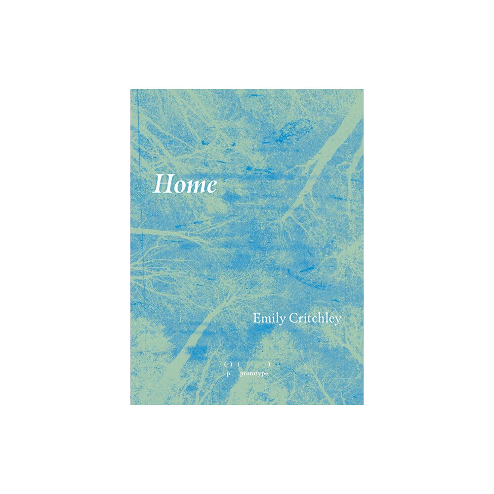 Prototype Publishing Ltd. Home (häftad, eng)