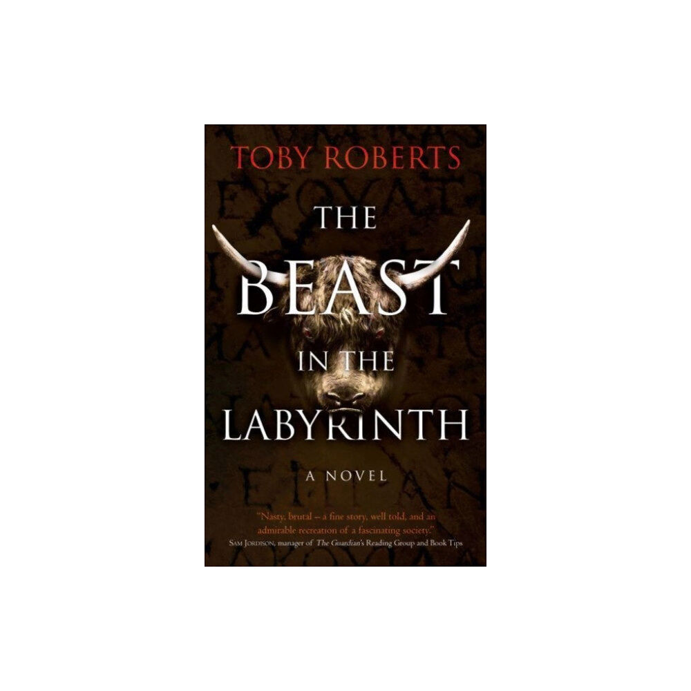 The Book Guild Ltd The Beast in the Labyrinth (inbunden, eng)