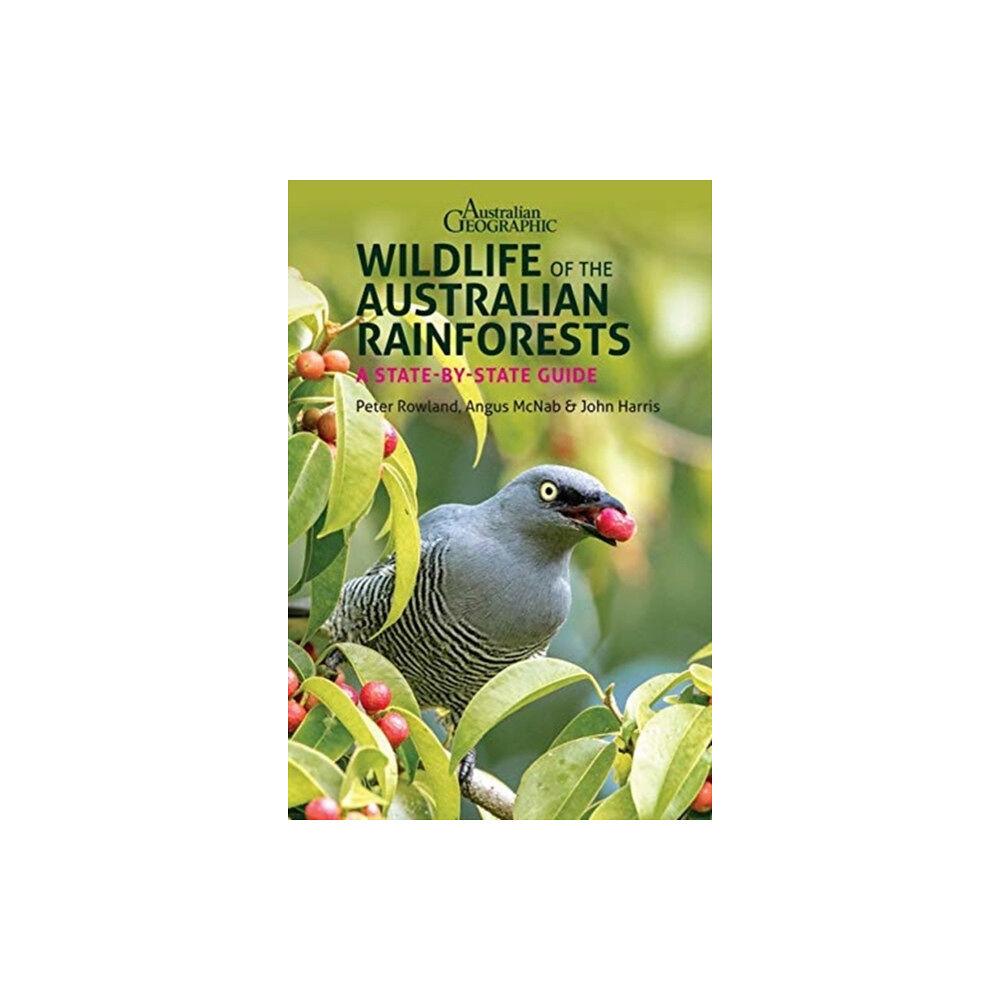 John Beaufoy Publishing Ltd Wildlife of the Australian Rainforests (häftad, eng)