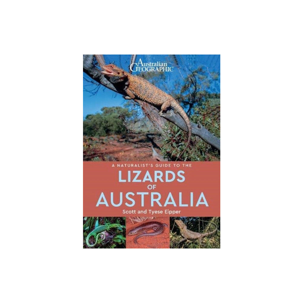 John Beaufoy Publishing Ltd A Naturalist's Guide to the Lizards of Australia (häftad, eng)