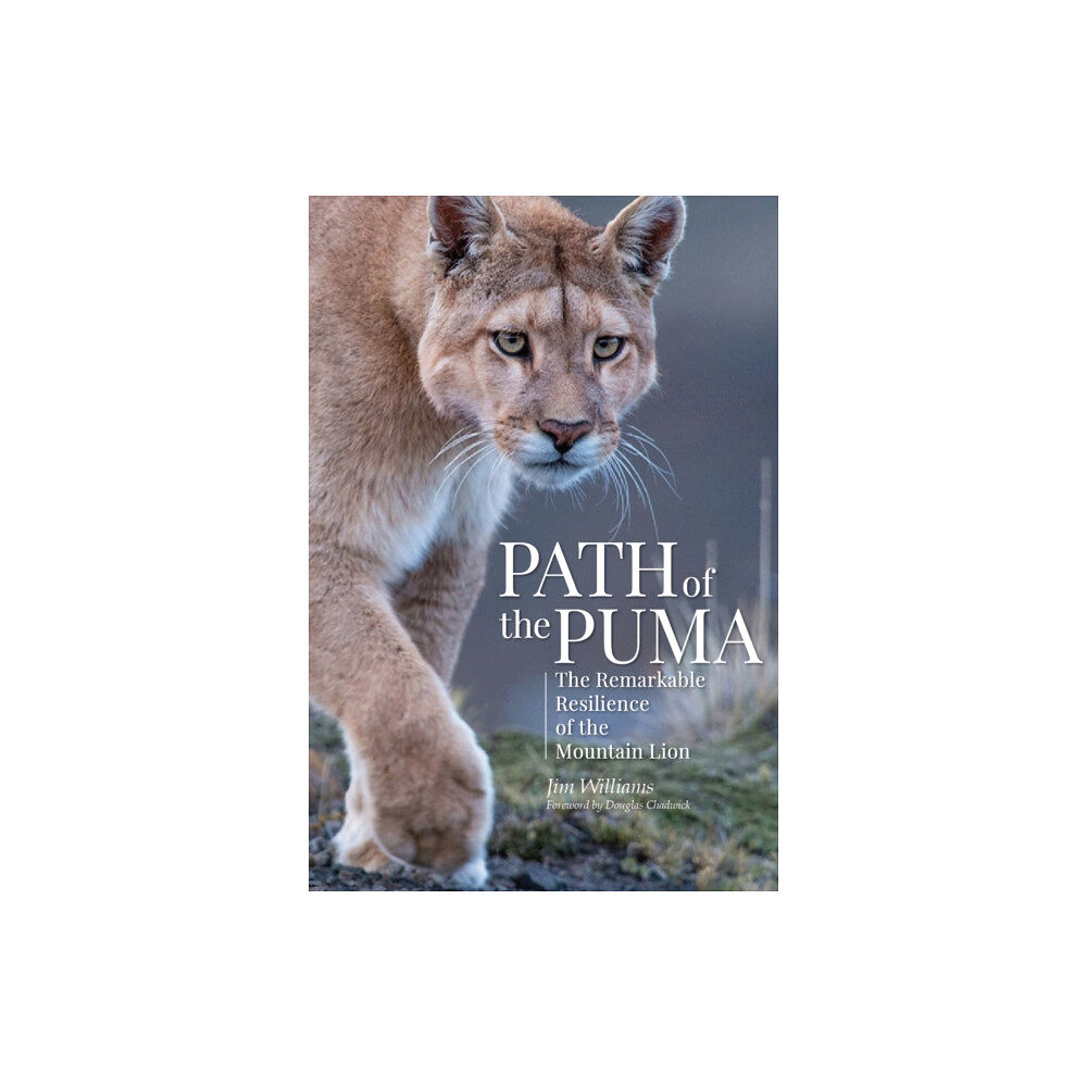 Patagonia Books Path of the Puma (inbunden, eng)