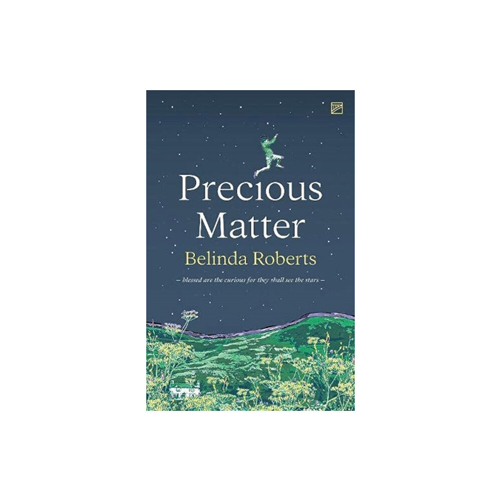 Valley Press Precious Matter (häftad, eng)