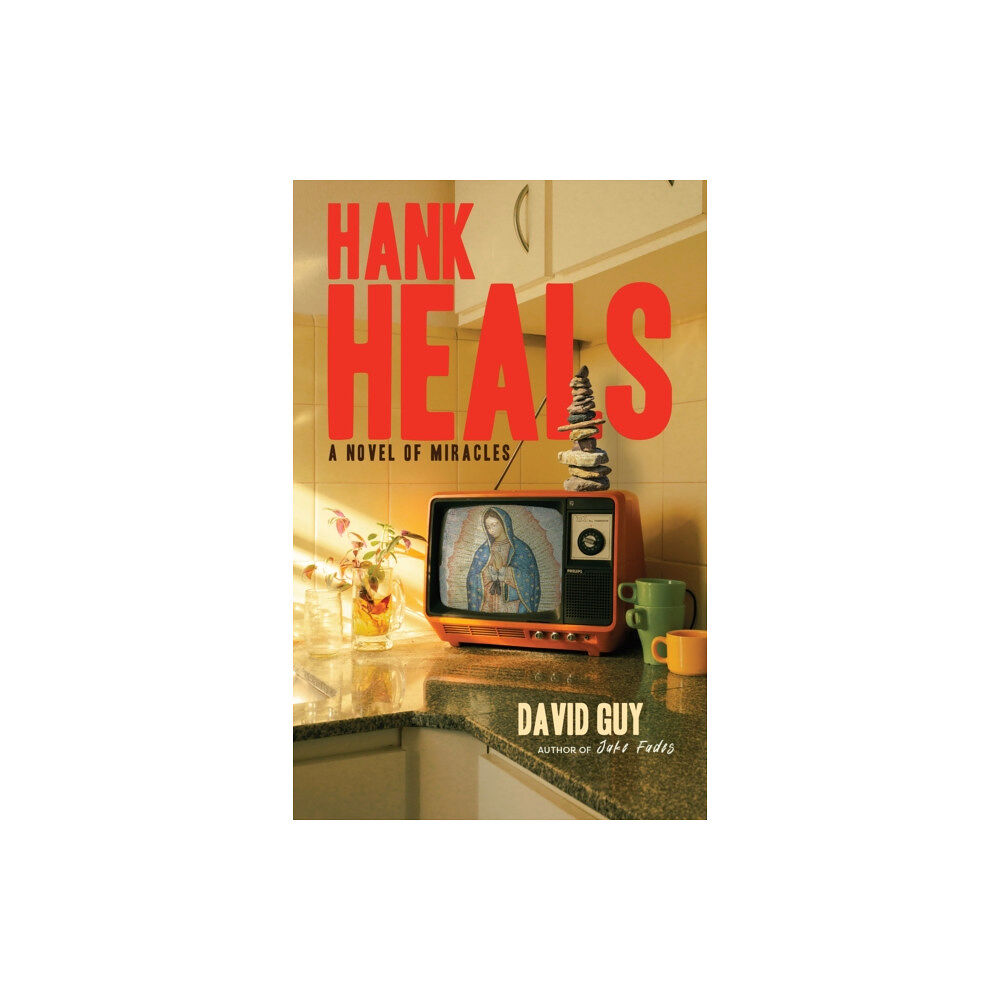 Monkfish Book Publishing Company Hank Heals (häftad, eng)