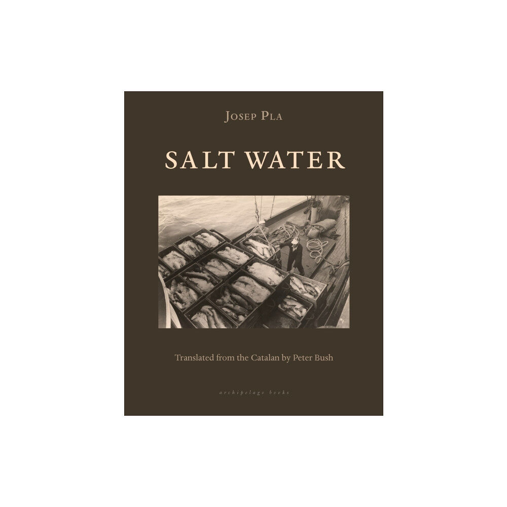 Archipelago Books Salt Water (häftad, eng)