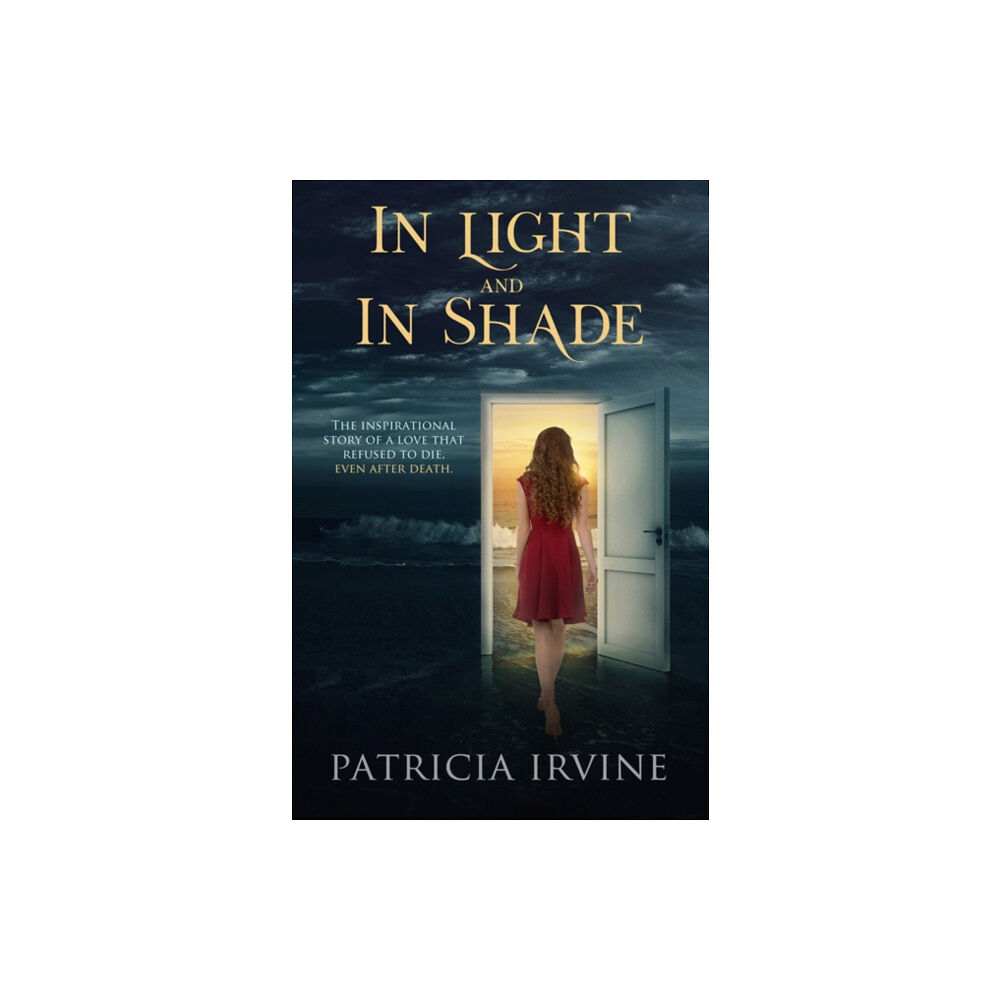 Ozark Mountain Publishing In Light and in Shade (häftad, eng)