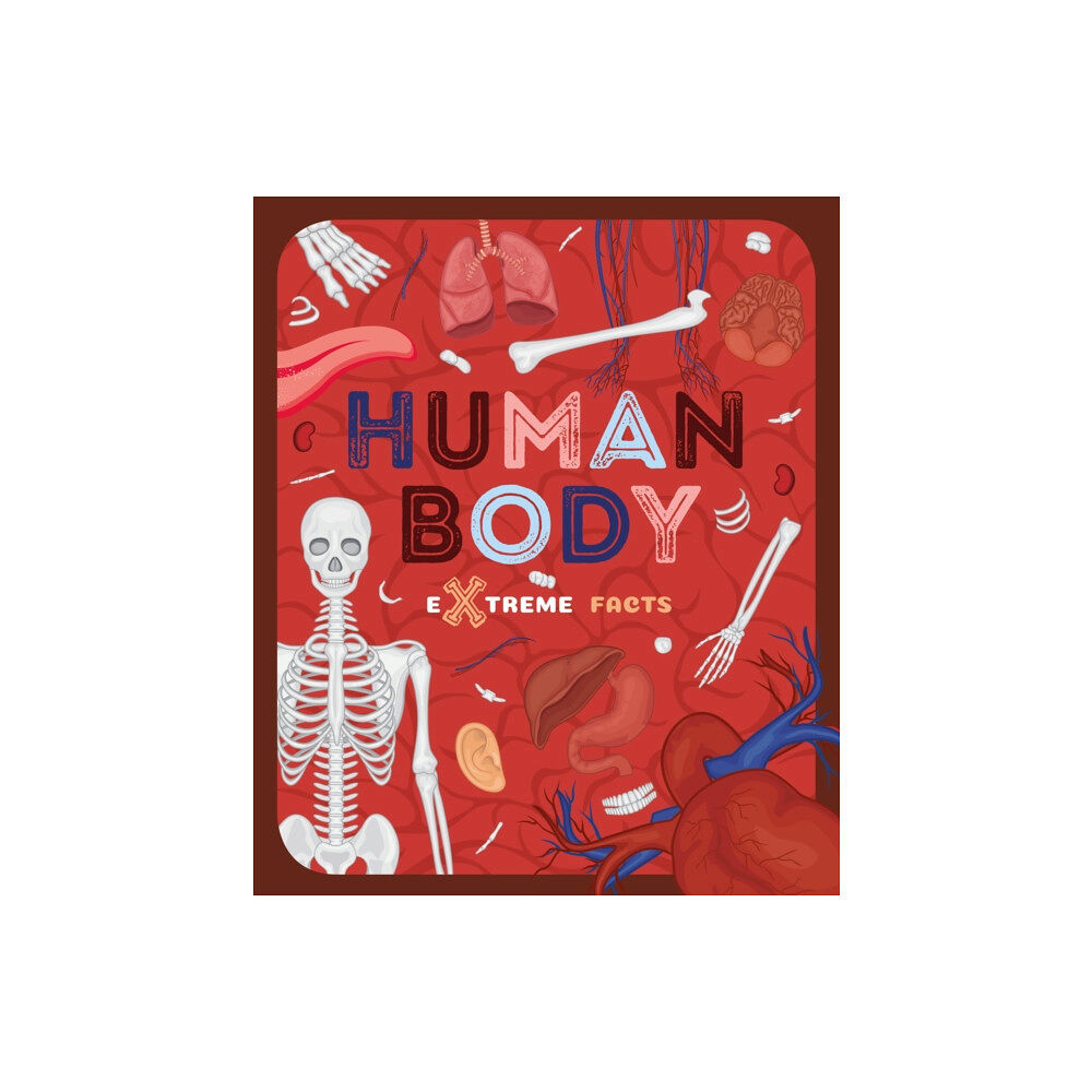 The Secret Book Company Human Body (häftad, eng)