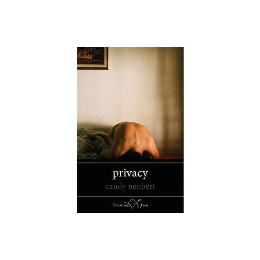 Shoestring Press Privacy (häftad, eng)