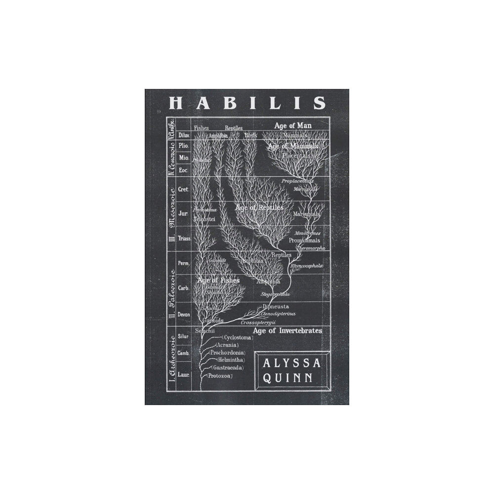 Dzanc Books Habilis (häftad, eng)