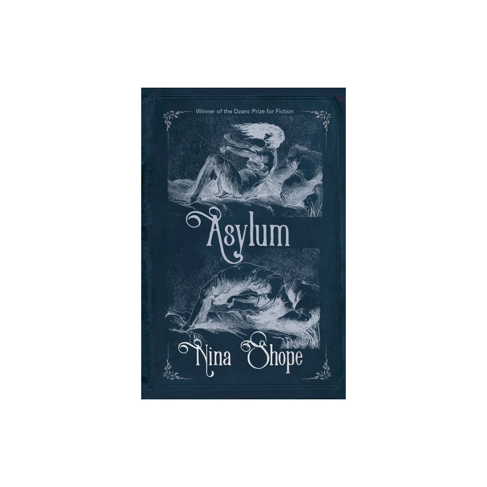 Dzanc Books Asylum (inbunden, eng)