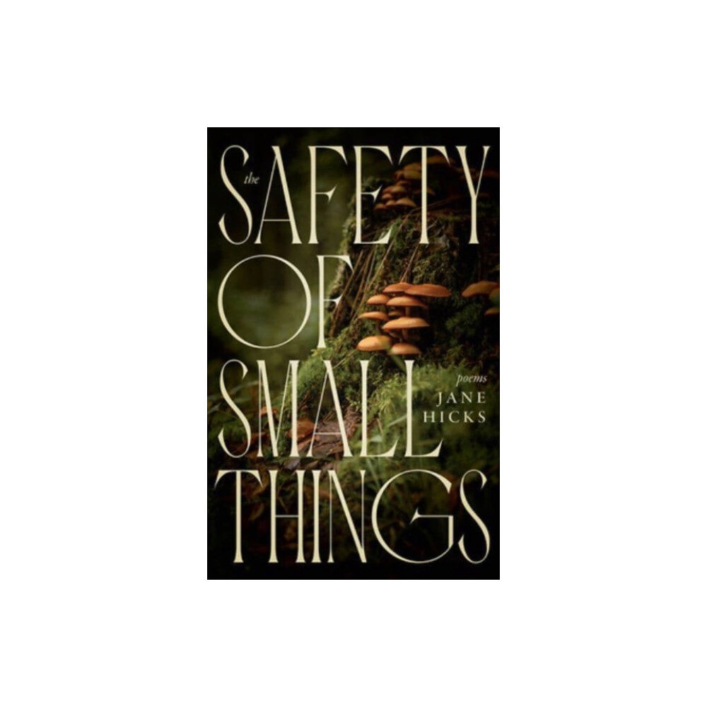 The University Press of Kentucky The Safety of Small Things (häftad, eng)