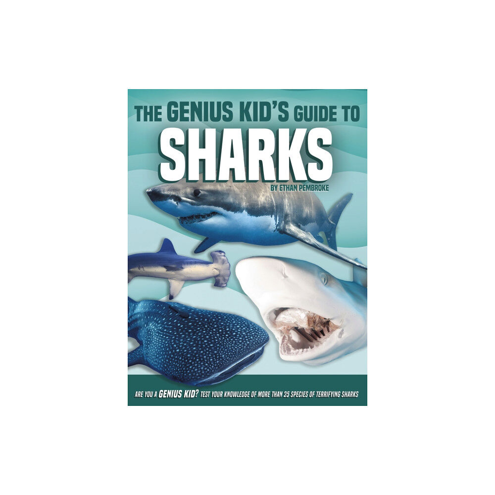 North Star Editions Genius Kid's Guide to Sharks (häftad, eng)