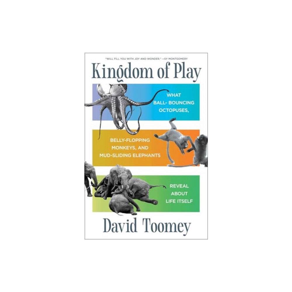 Scribner Kingdom of Play (inbunden, eng)