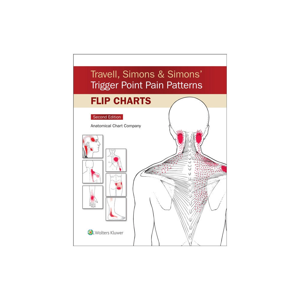 Wolters Kluwer Health Travell, Simons & Simons’ Trigger Point Pain Patterns Flip Charts (häftad, eng)