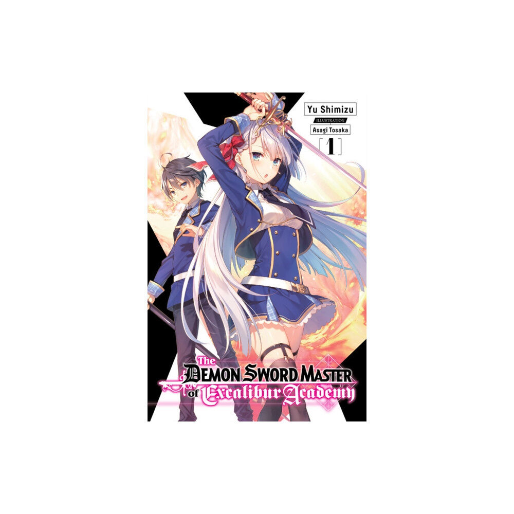 Little, Brown & Company The Demon Sword Master of Excalibur Academy, Vol. 1 (light novel) (häftad, eng)