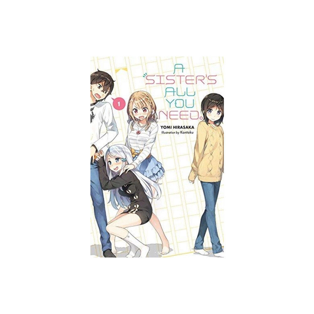 Little, Brown & Company A Sister's All You Need., Vol. 1 (light novel) (häftad, eng)