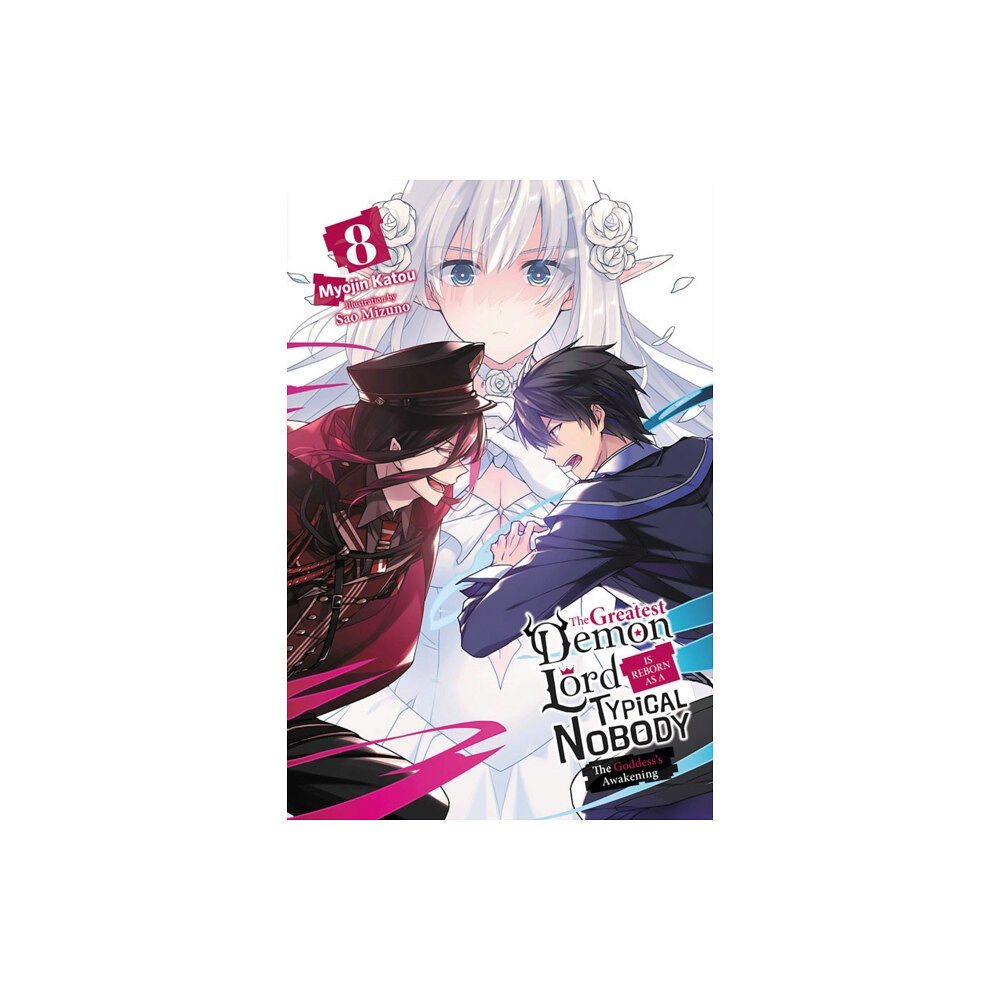 Little, Brown & Company The Greatest Demon Lord Is Reborn as a Typical Nobody, Vol. 8 (light novel) (häftad, eng)