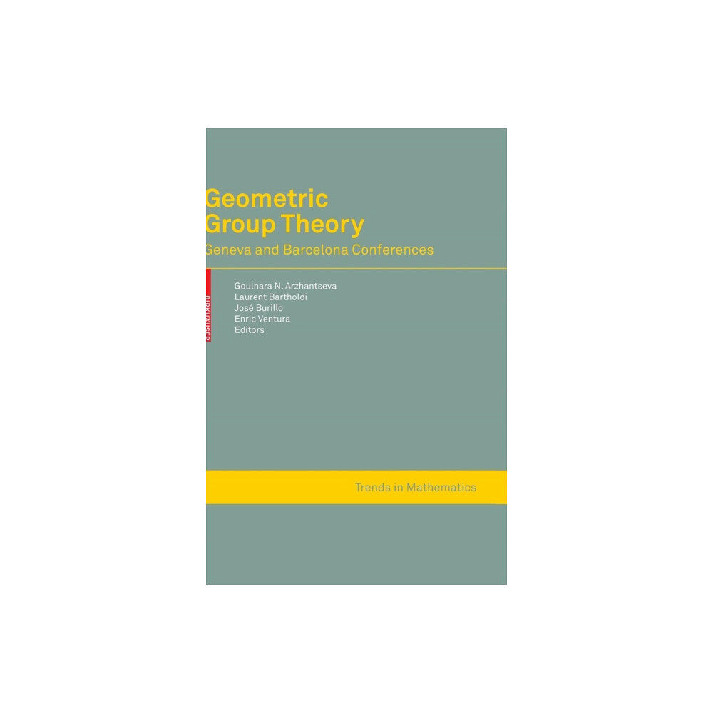 Birkhauser Verlag AG Geometric Group Theory (inbunden, eng)