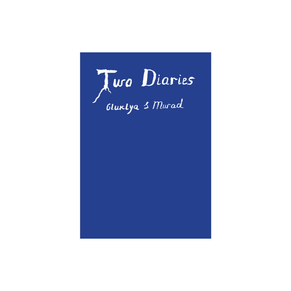 Verlag der Buchhandlung Walther Konig Two Diaries (häftad, tur)