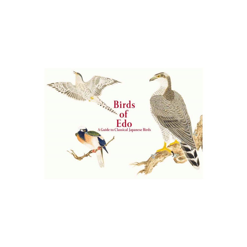 Pie International Co., Ltd. Birds of Edo (häftad, eng)