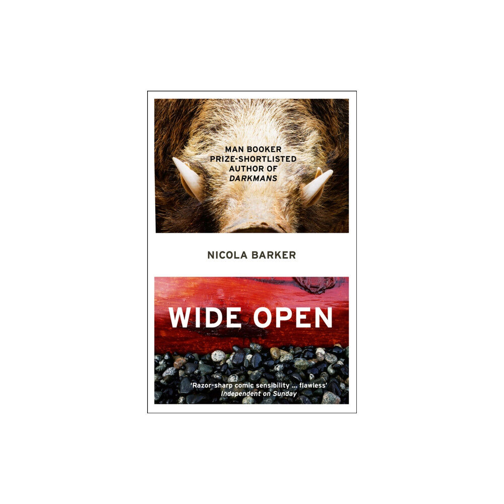 HarperCollins Publishers Wide Open (häftad, eng)