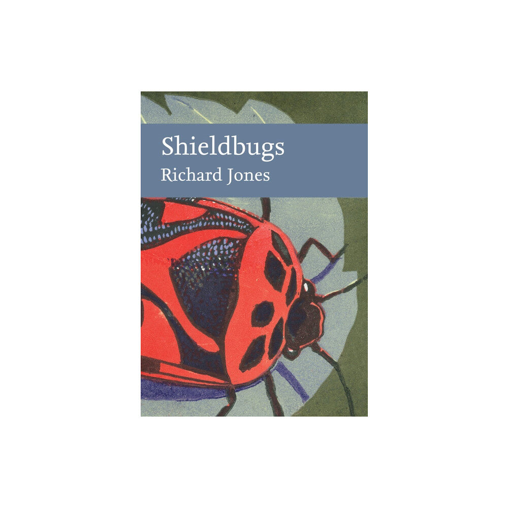 HarperCollins Publishers Shieldbugs (inbunden, eng)