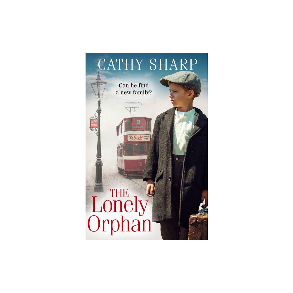 HarperCollins Publishers The Lonely Orphan (häftad, eng)