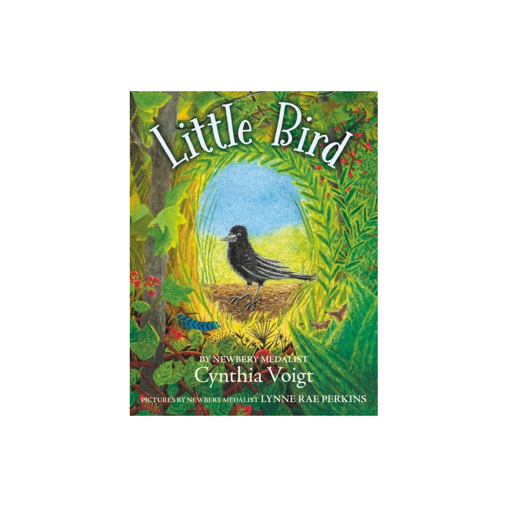 HarperCollins Little Bird (häftad, eng)