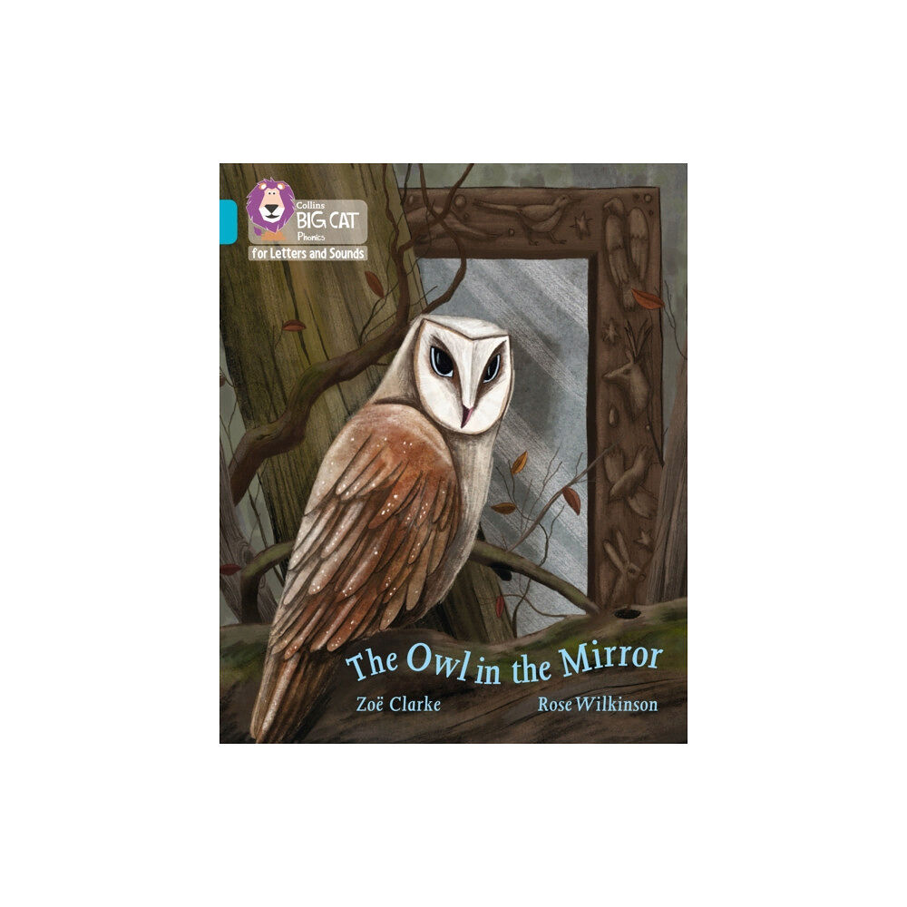 HarperCollins Publishers The Owl in the Mirror (häftad, eng)