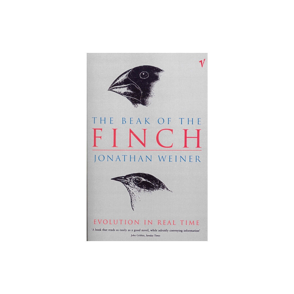 Vintage Publishing The Beak Of The Finch (häftad, eng)