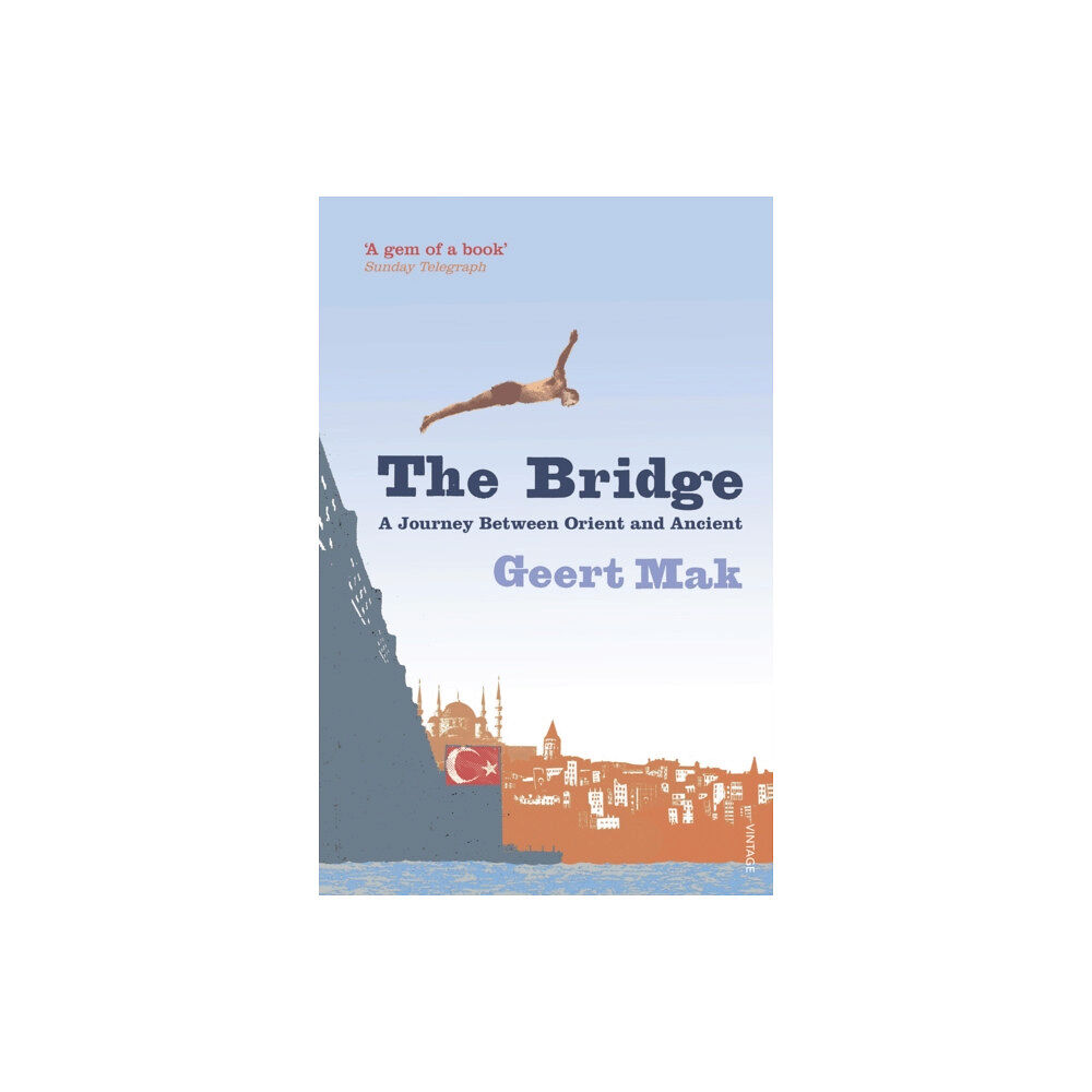 Vintage Publishing The Bridge (häftad, eng)