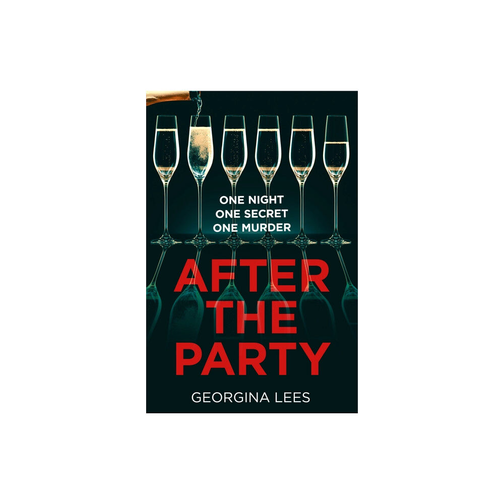 HarperCollins Publishers After the Party (häftad, eng)