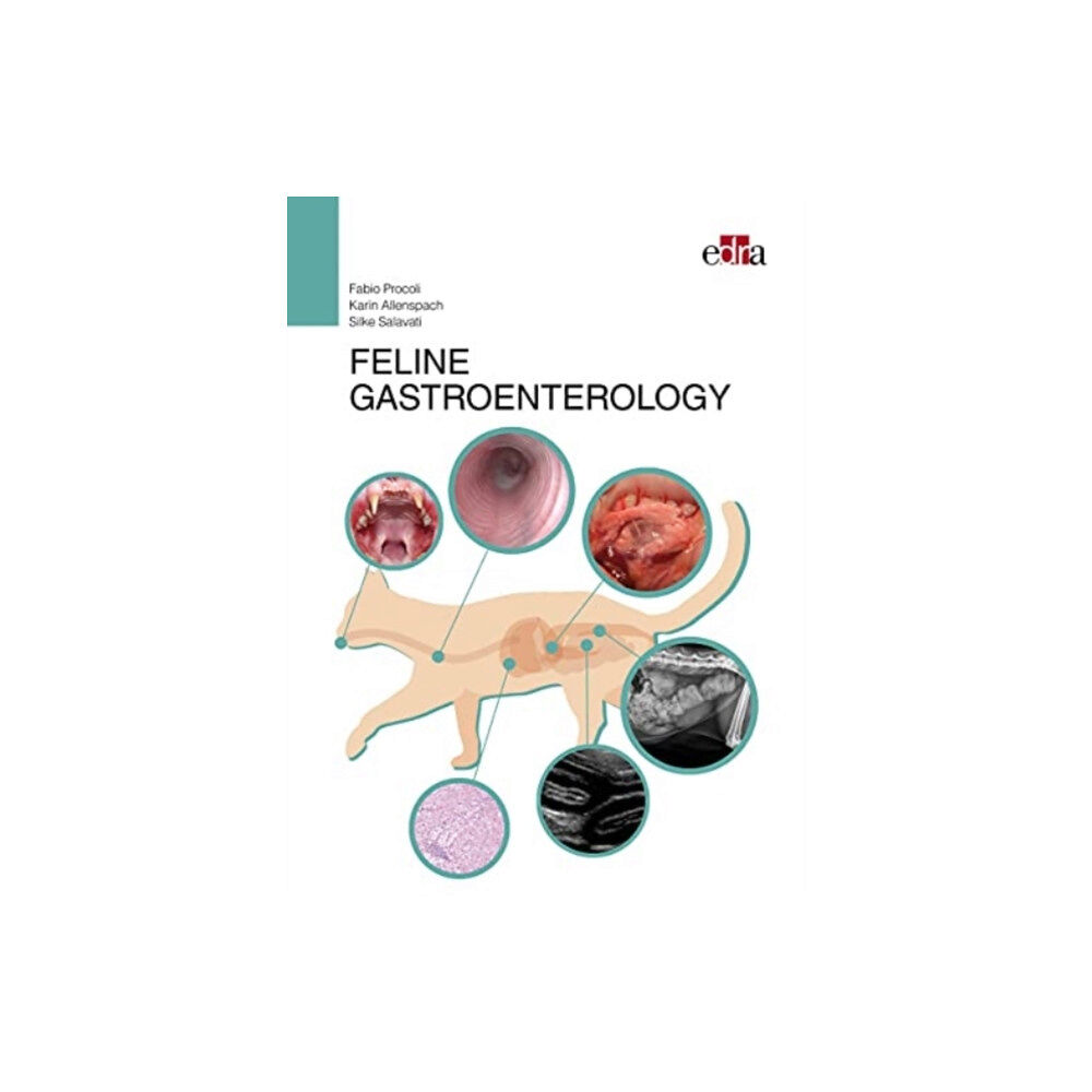 Edra Spa FELINE GASTROENTEROLOGY (inbunden, eng)