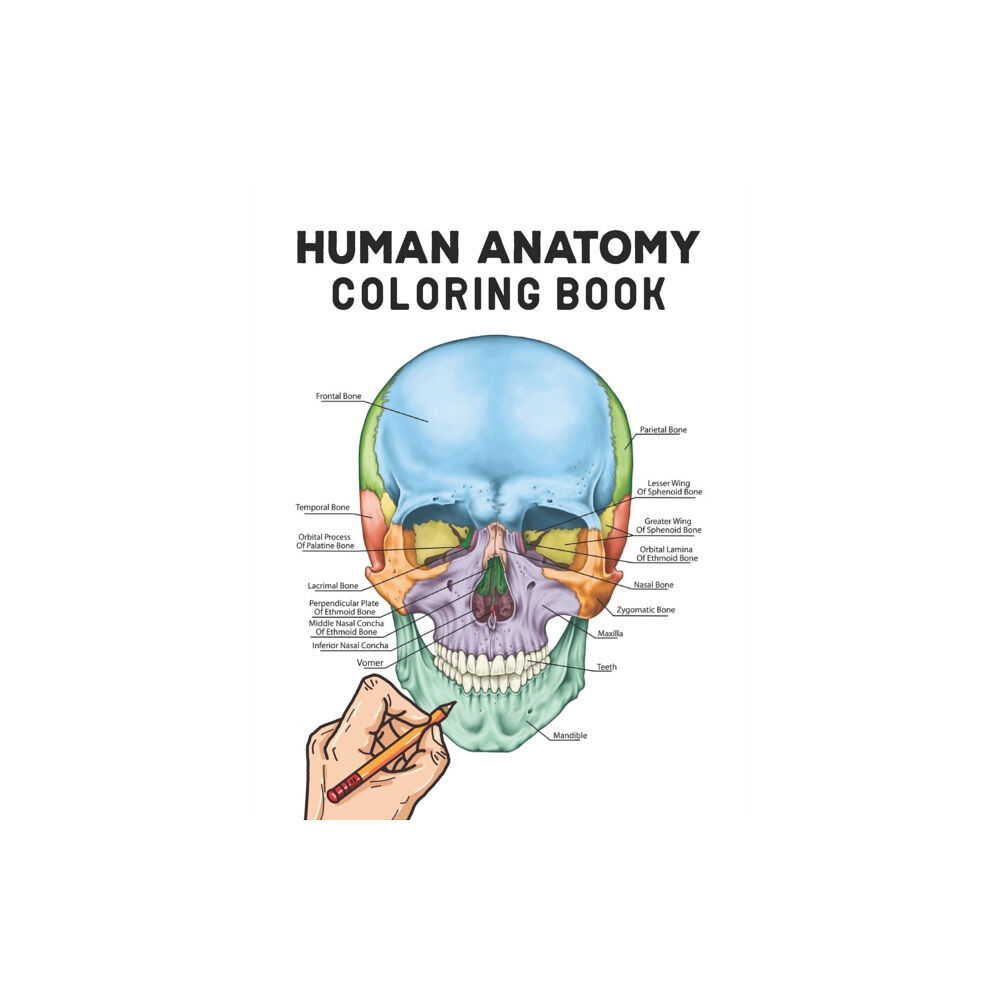 Independently Published Human Anatomy Coloring Book (häftad, eng)