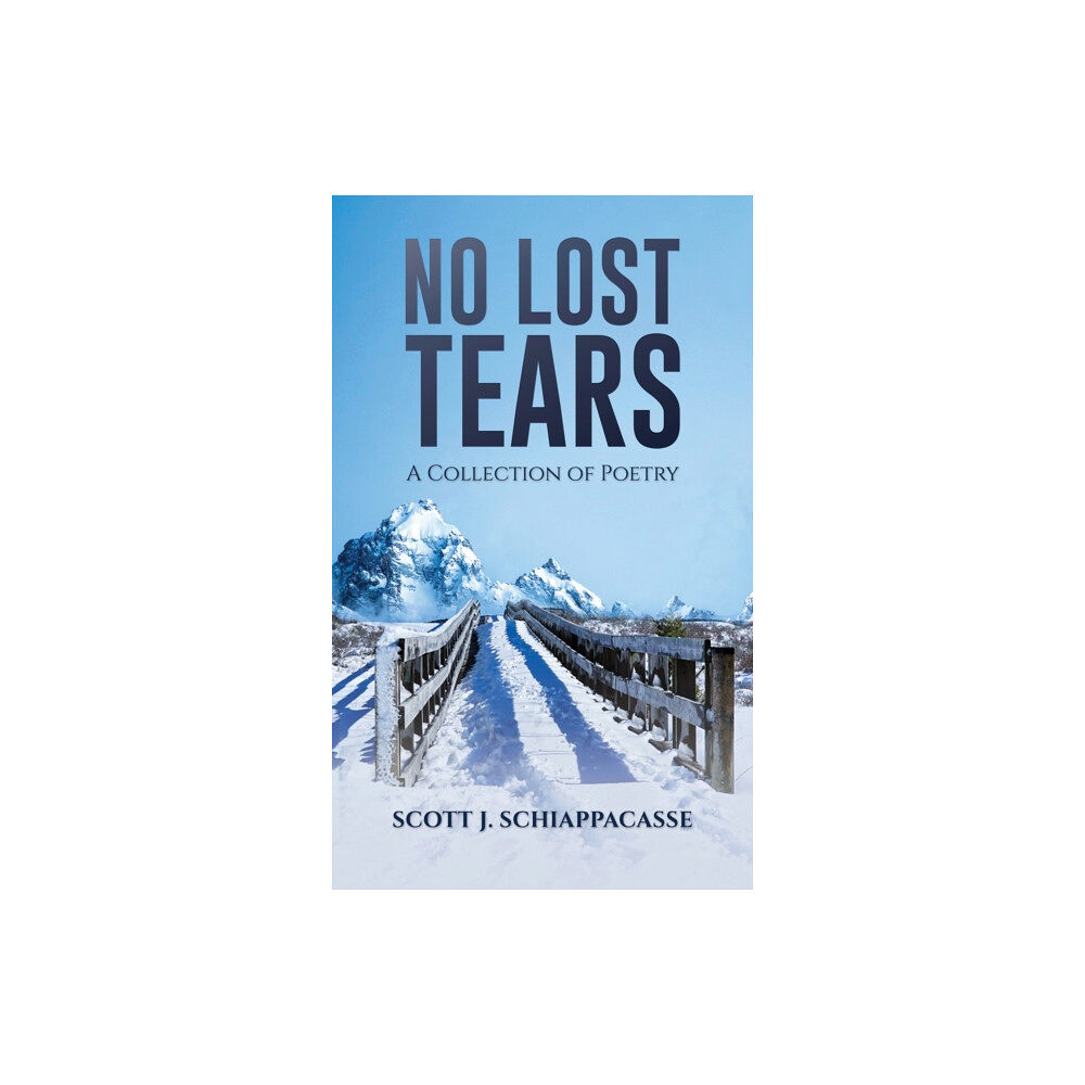 Austin Macauley Publishers LLC No Lost Tears (häftad, eng)