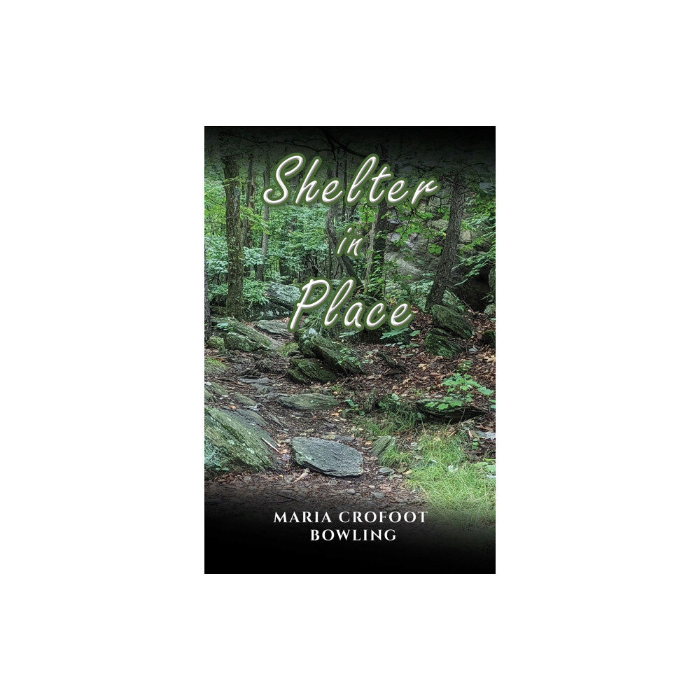 Austin Macauley Publishers LLC Shelter in Place (inbunden, eng)