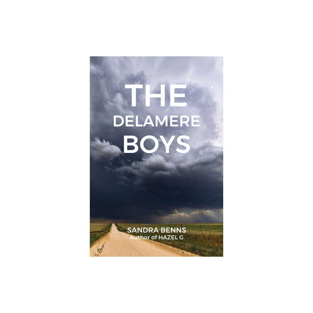 Austin Macauley Publishers LLC The Delamere Boys (häftad, eng)