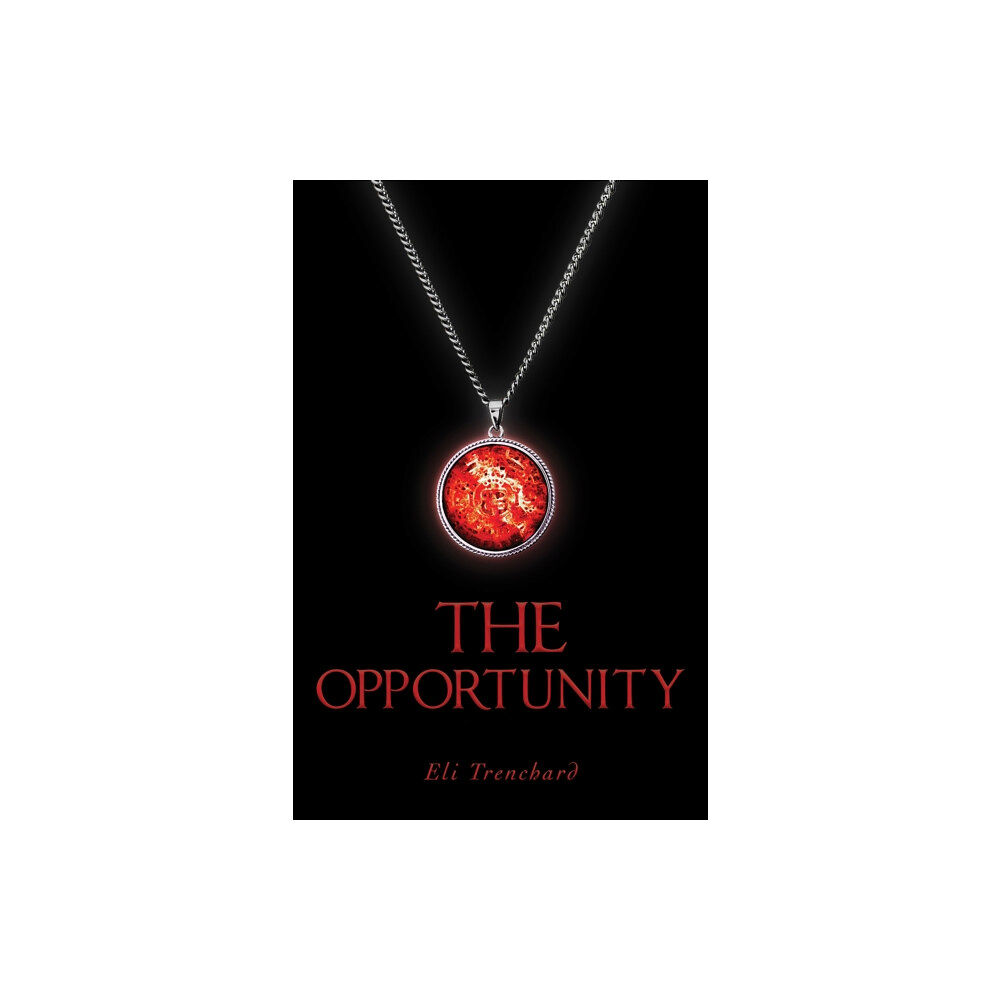 Austin Macauley Publishers LLC The Opportunity (häftad, eng)