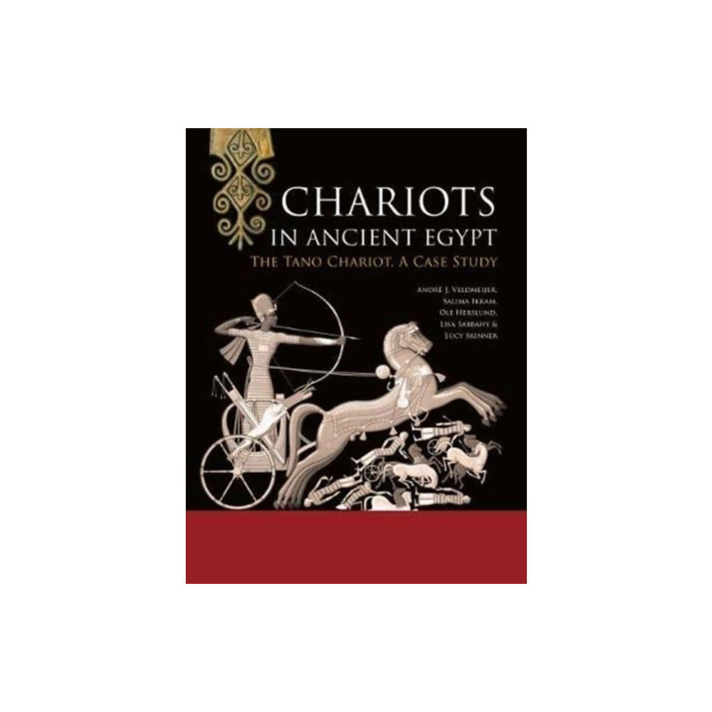 Sidestone Press Chariots in Ancient Egypt (häftad, eng)