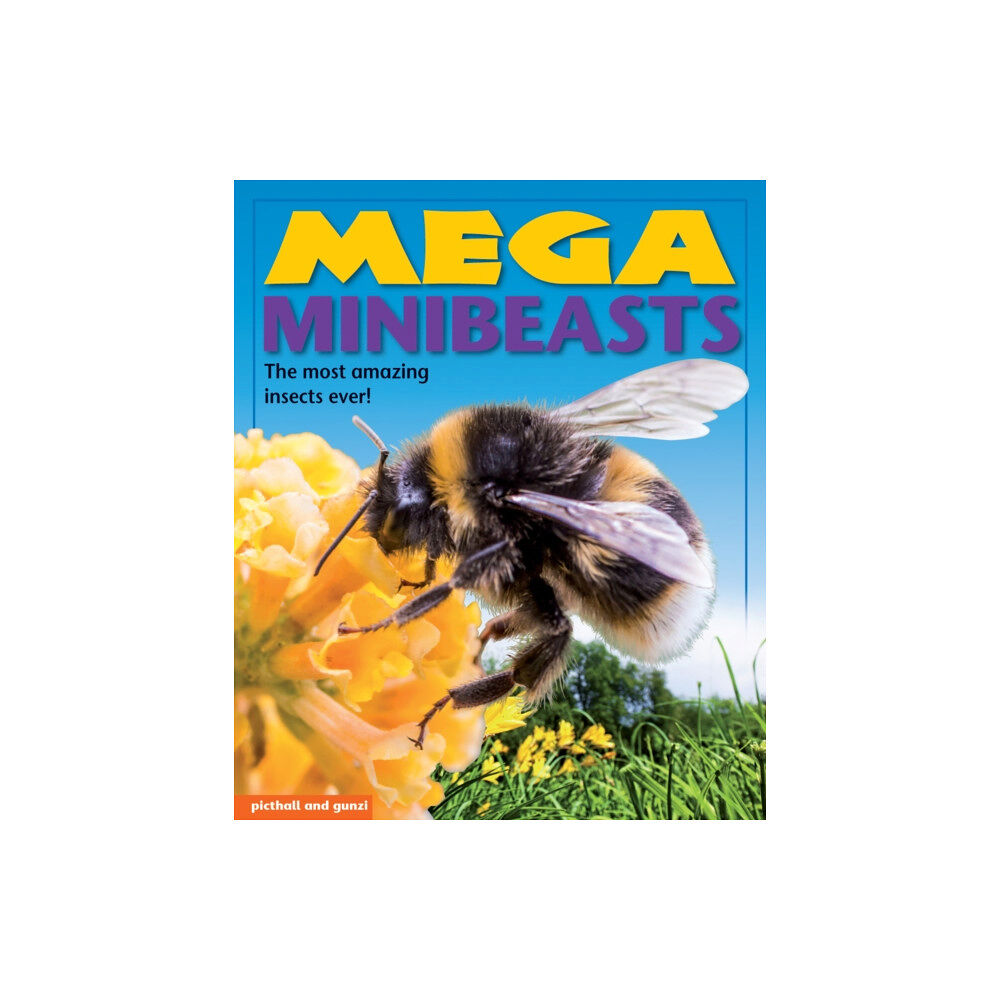 Award Publications Ltd Mega Minibeasts (häftad, eng)