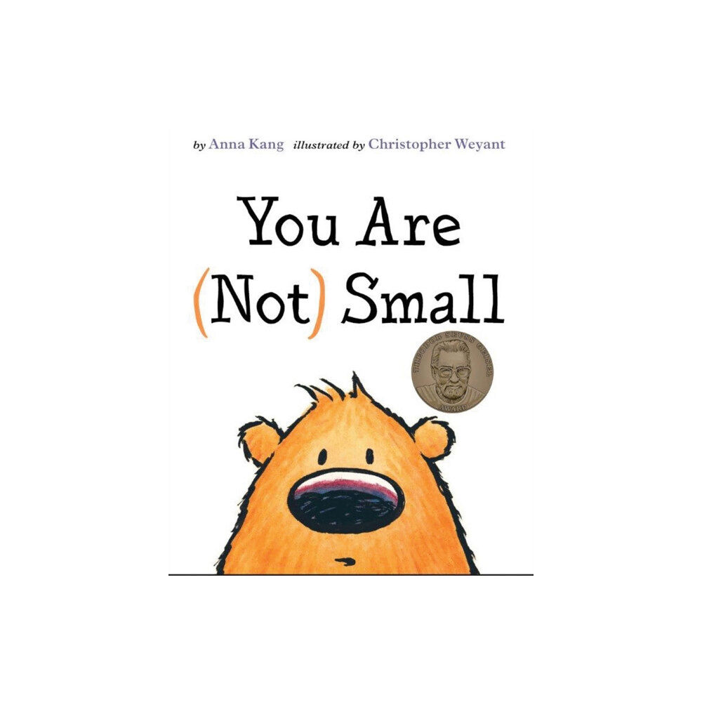 BRILLIANCE PUBLISHING INC YOU ARE NOT SMALL (inbunden, eng)