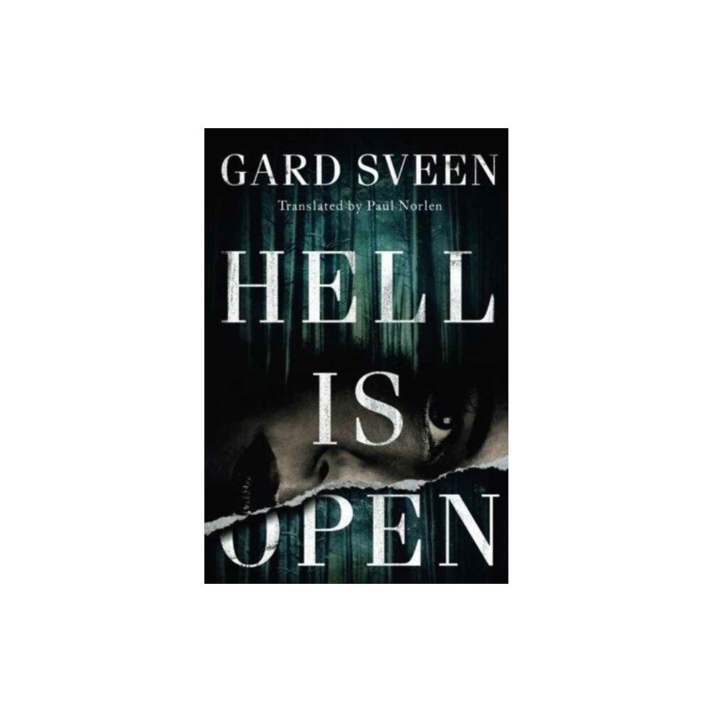 Amazon Publishing Hell Is Open (häftad, eng)