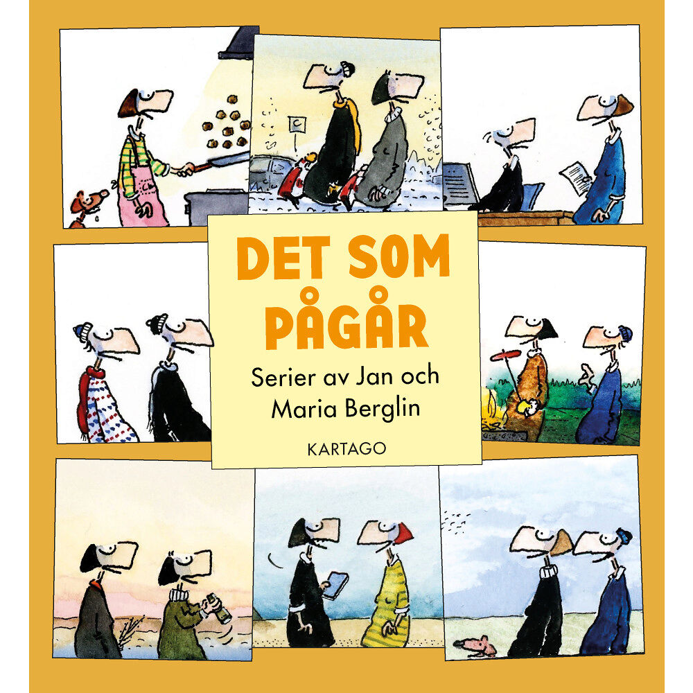 Jan Berglin Det som pågår (bok, danskt band)